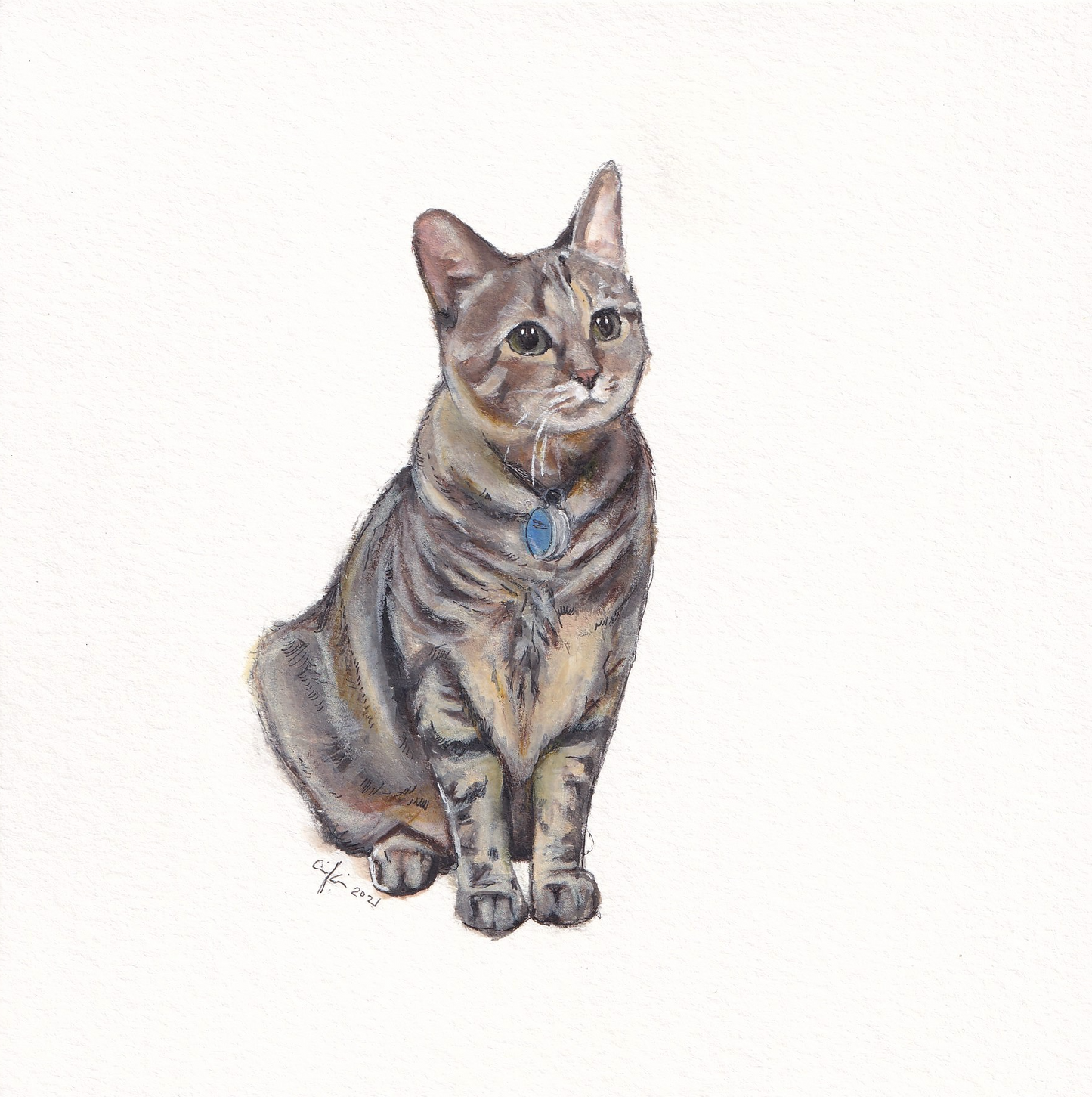 6x6in Pet Portrait