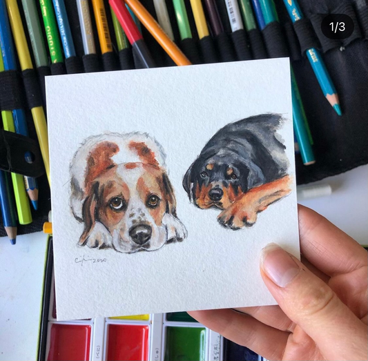 Two in One Pet Portrait 4x4in Mini