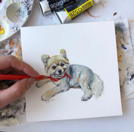 6x6in Pet Portrait