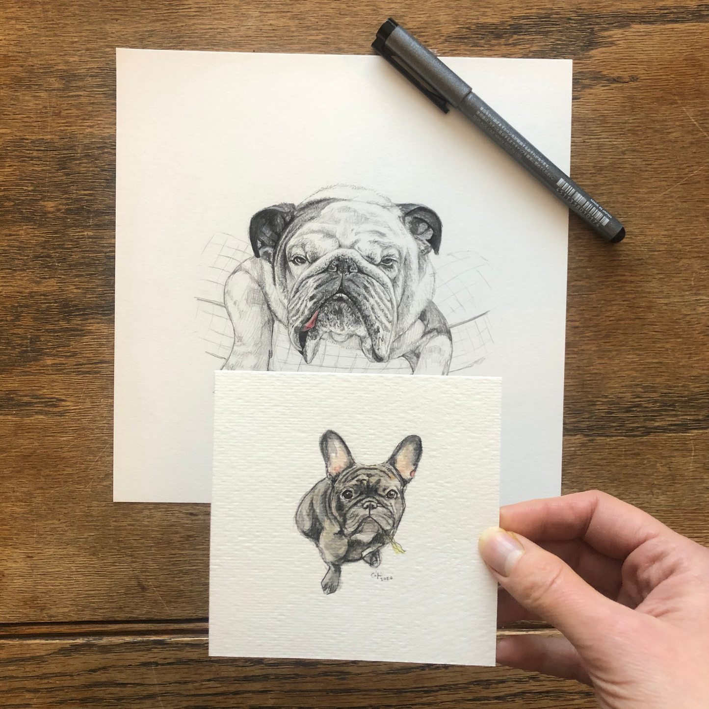 4x4in Pet Mini Portrait