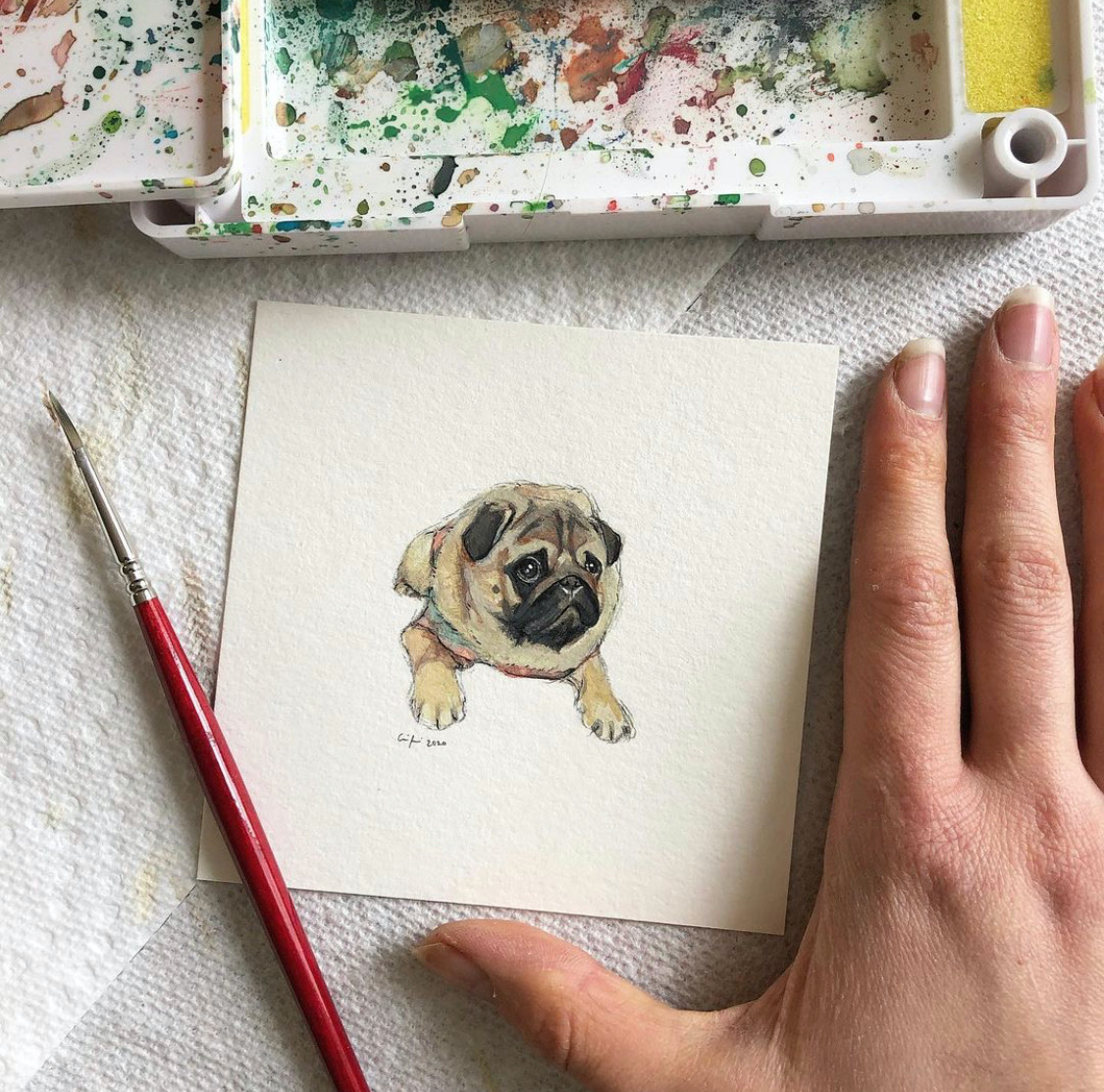 4x4in Pet Mini Portrait