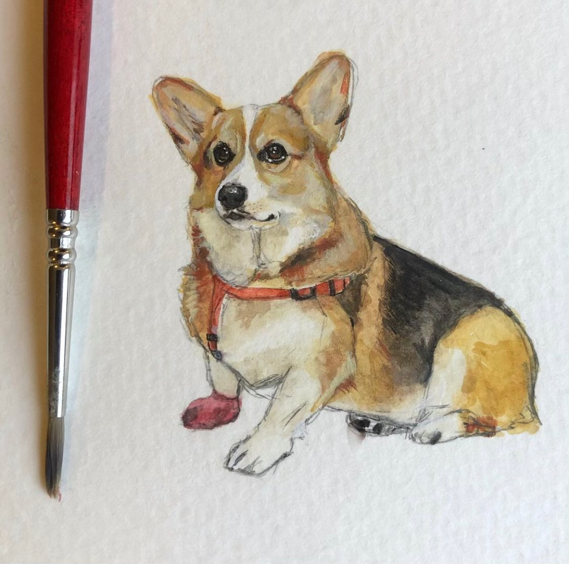 4x4in Pet Mini Portrait